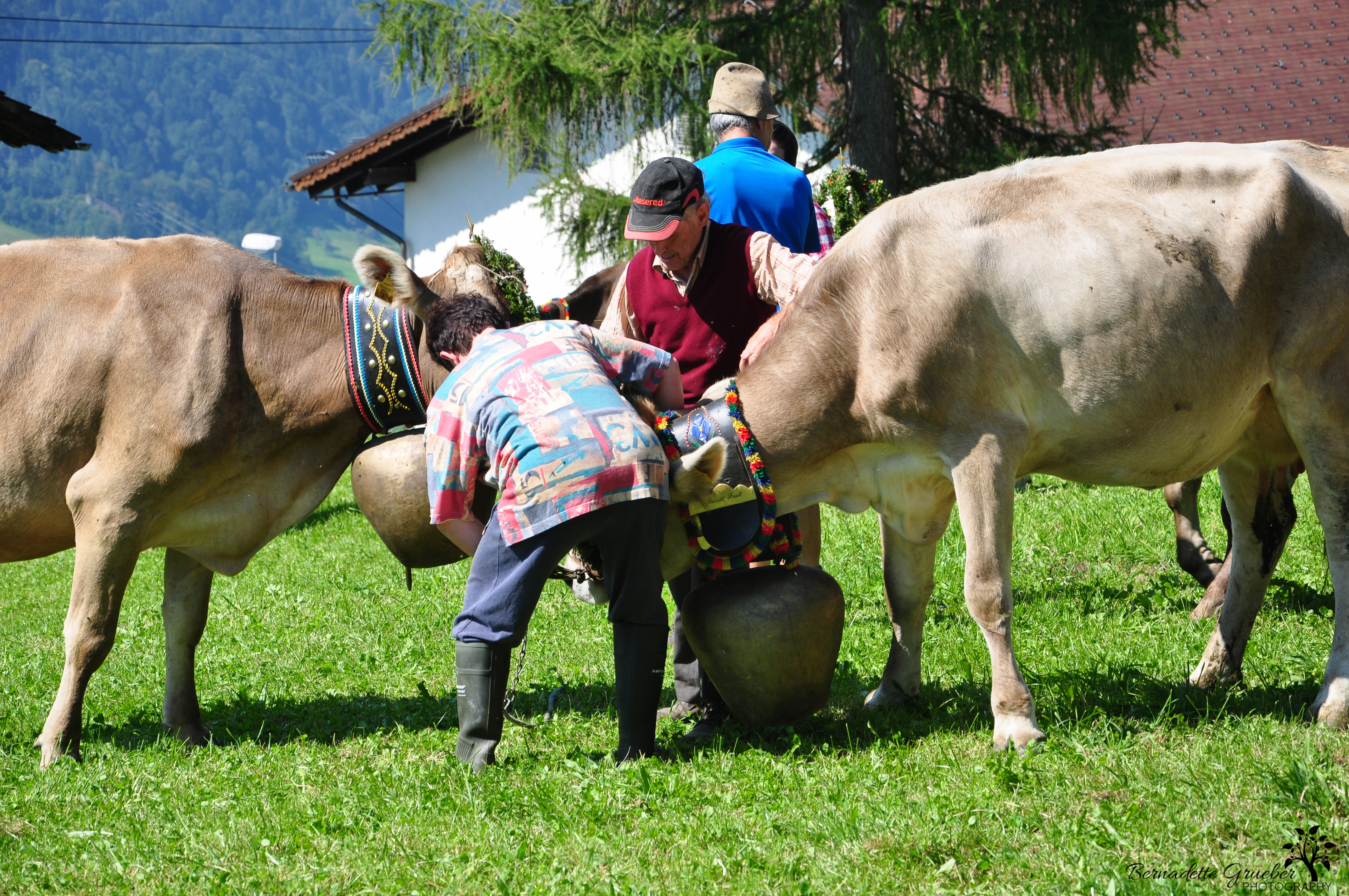 austrian-cow-festival-11a