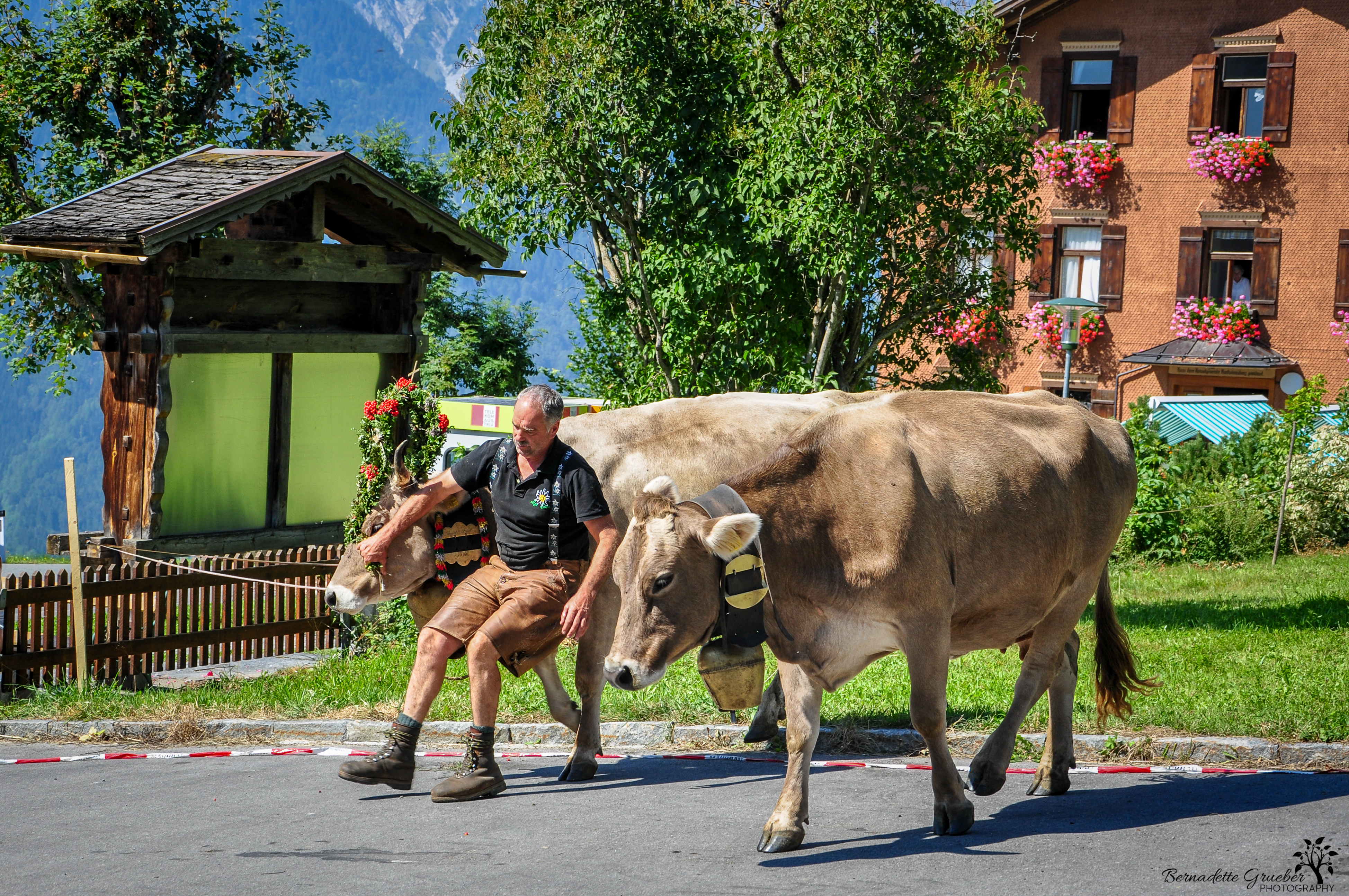austrian-cow-festival-12a