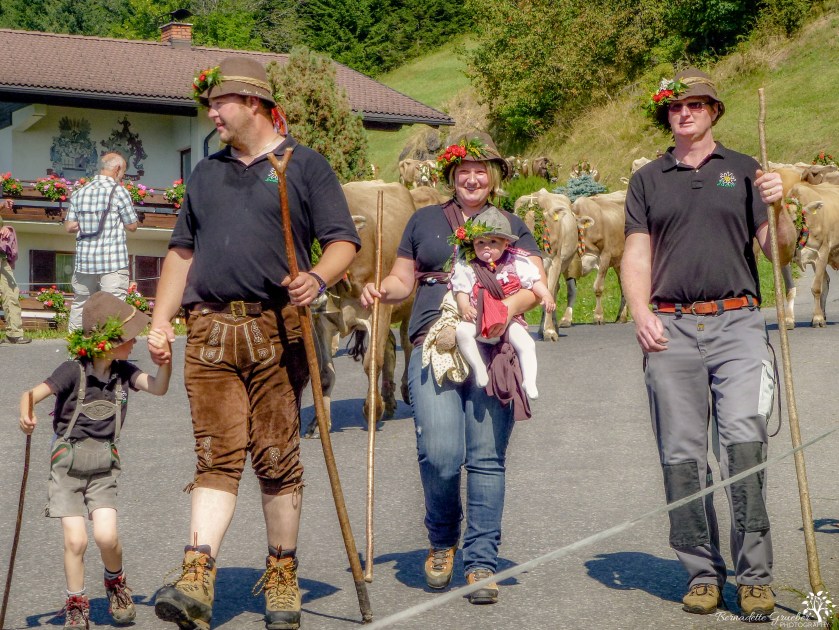 austrian-cow-festival-3a