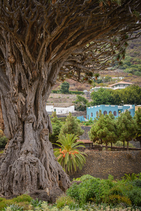 G. Tenerife photo shoot 0244