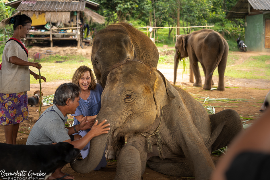 BGP #Elephants#Chiang Mai#Thailand-10